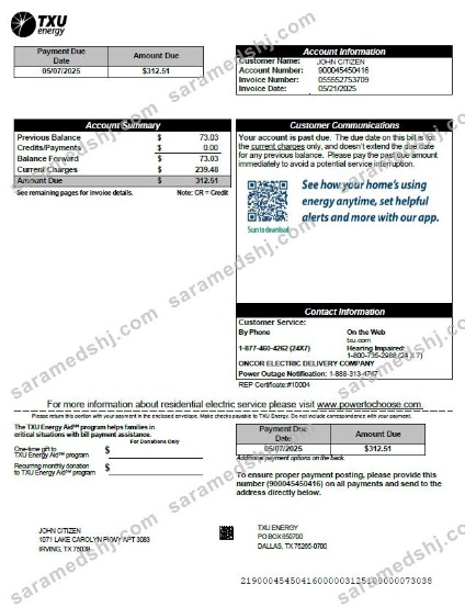 USA TXU Energy utility bill template in Word and PDF formats, version 7
